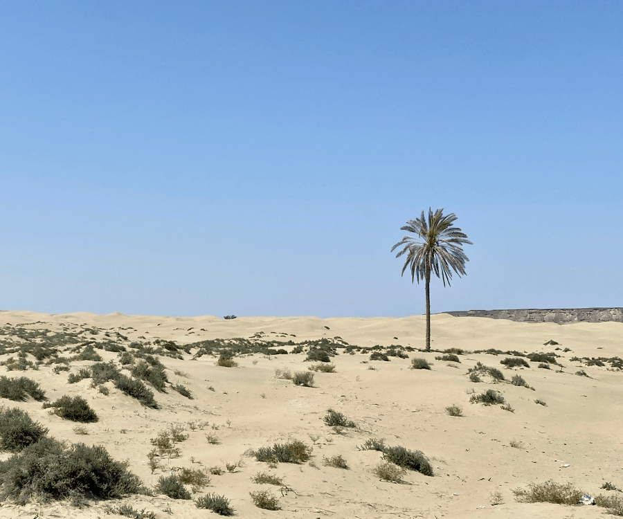 Darak dunes