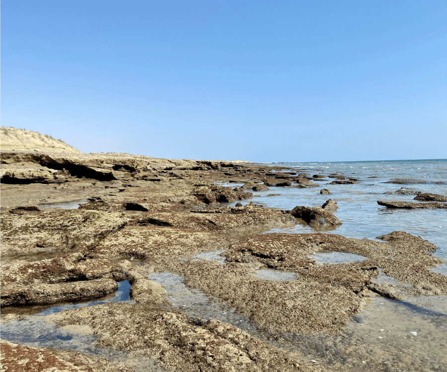 Darak dunes