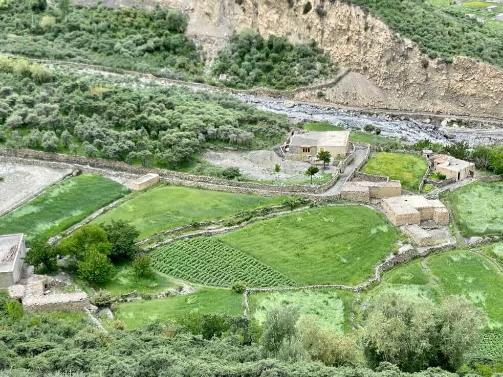 The fields are fenced with low stone walls