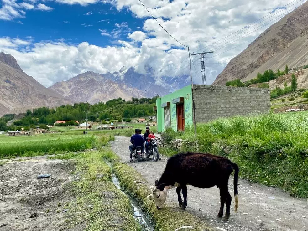 Neighbors chatting. There is no traffic anyway, so you can stop directly on the road